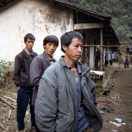 China's Last Bamboo Harvesters