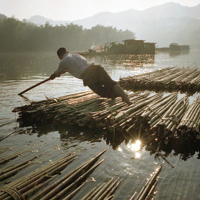 China's Last Bamboo Harvesters