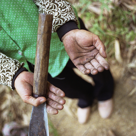 China's Last Bamboo Harvesters